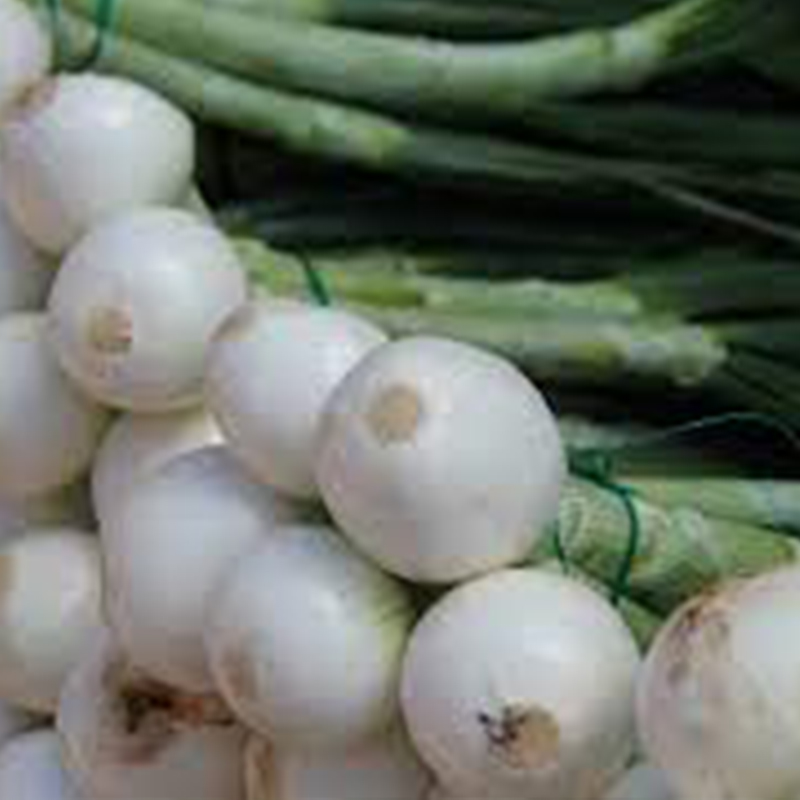 oignon blanc