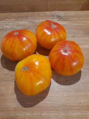 Tomate d'Antan de Bretagne