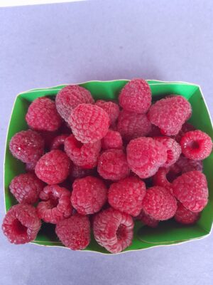 Framboise Villeveque